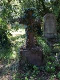 image number DSC_4137